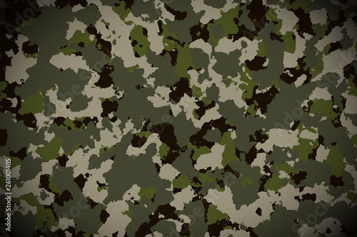 Camouflage pattern background. Military camouflage pattern.