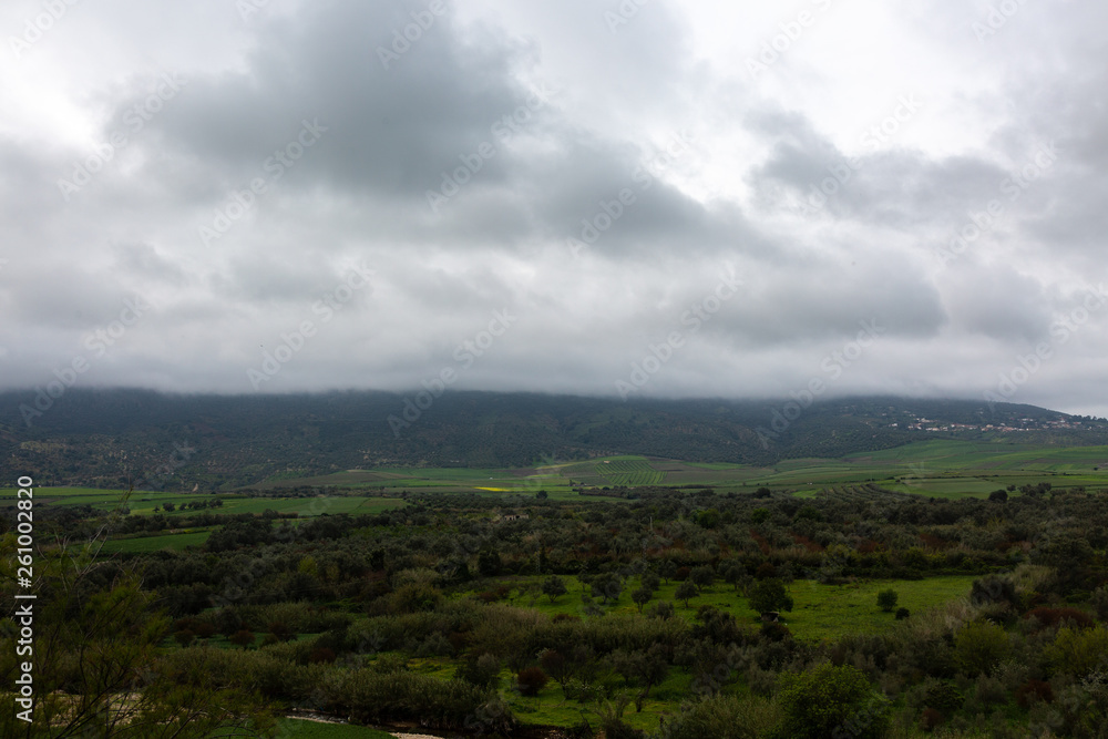 Hills and field near ancient city of Volubilis