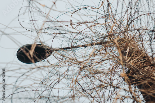Concrete lamppost entwined with wild grape vines against a clear sky. autumn, spring
