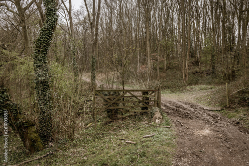 Path and gate in the forest