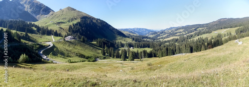 Panorama of the green farmland