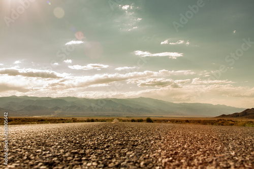 MOJAVE DESERT