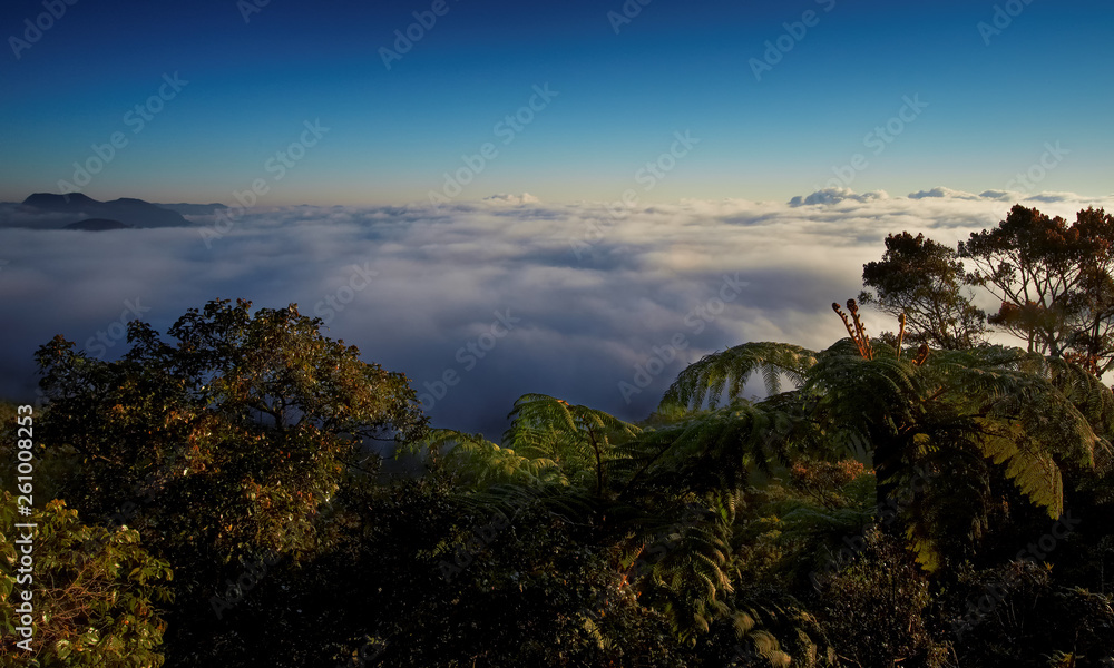 Travelling Sri Lanka. Above the clouds landscape scenery lit by early morning sun, view from top of Horton Plains National Park, Central highlands, Sri Lanka. Calm and peaceful atmosphere.