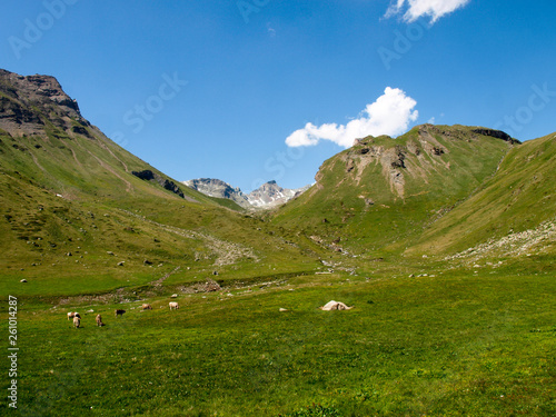 Mountain panorama of the Alpine pass