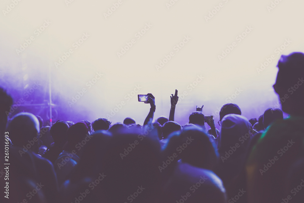 cheering crowd with raised hands at concert - music festival