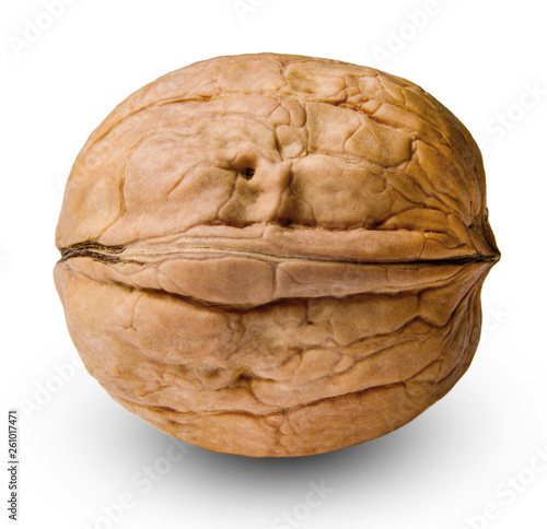 Whole walnut in shell. White isolated background. Macro. Side view.