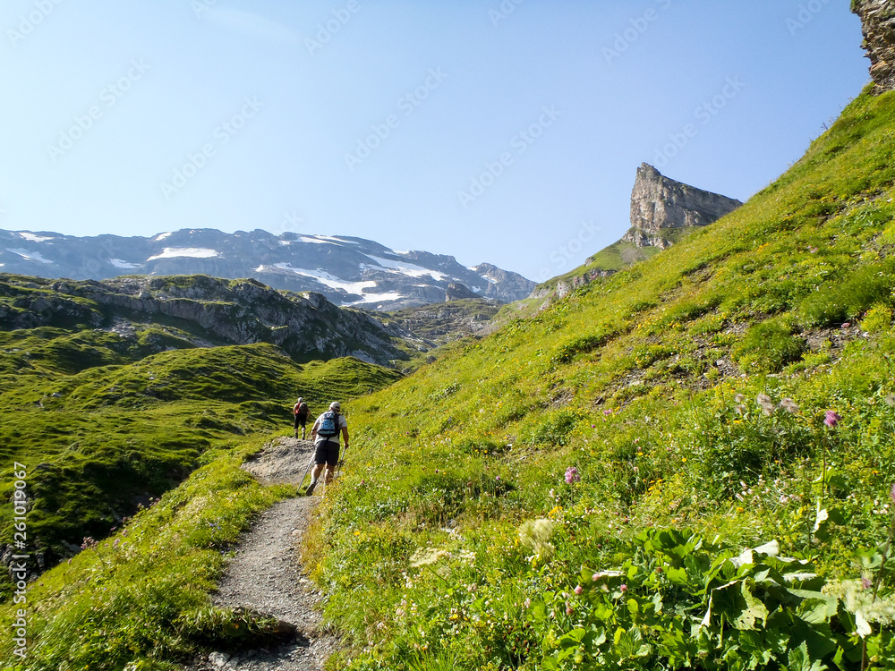 alpine landscape in the Titlis region