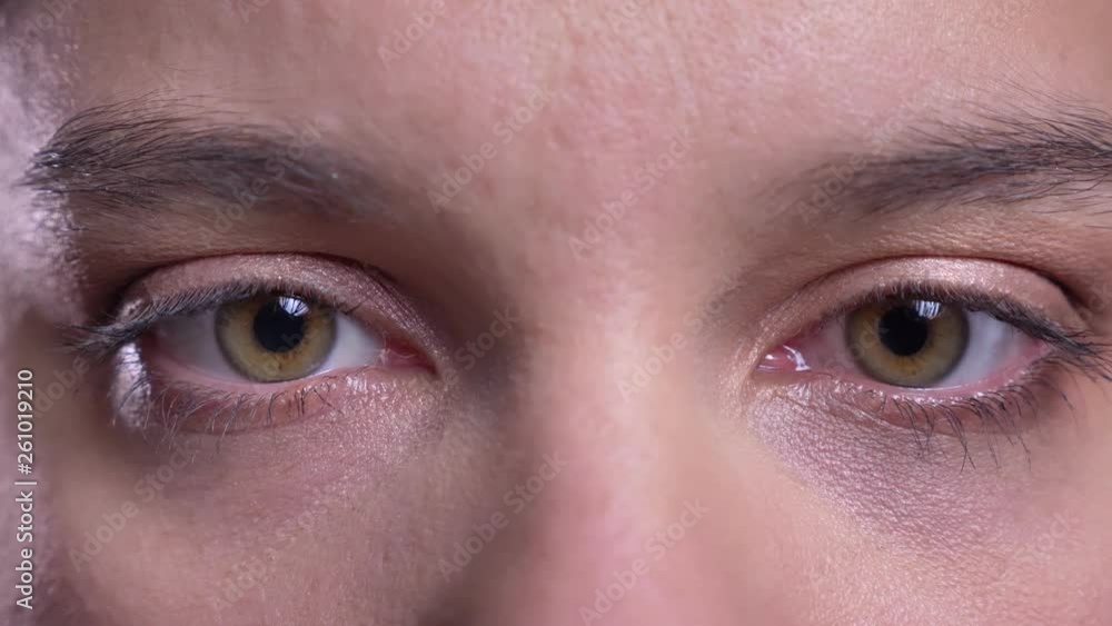 Closeup macro shoot of adult female face with brown eyes looking straight at camera blinking in motion Closeup macro shoot of adult female face with brown eyes looking straight at camera blinking in motion