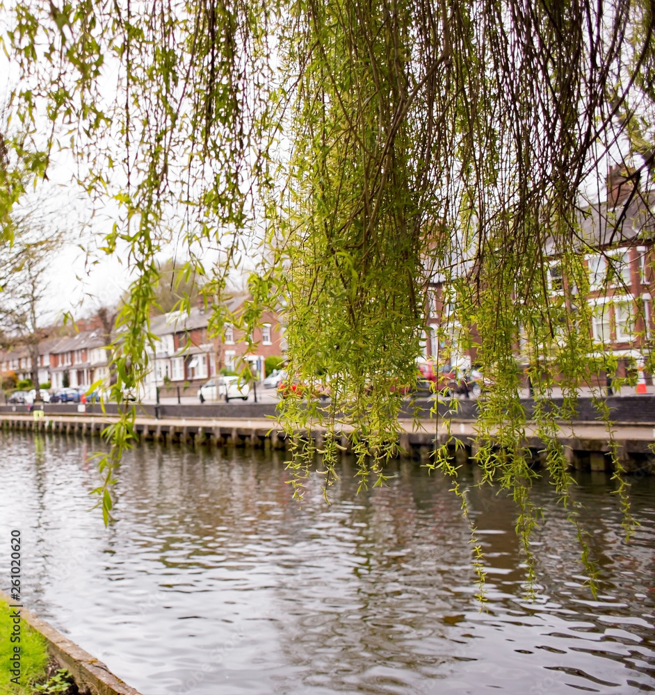 A view from the Riverside walk along the banks of the River Wensum in the City of Norwich, Norfolk