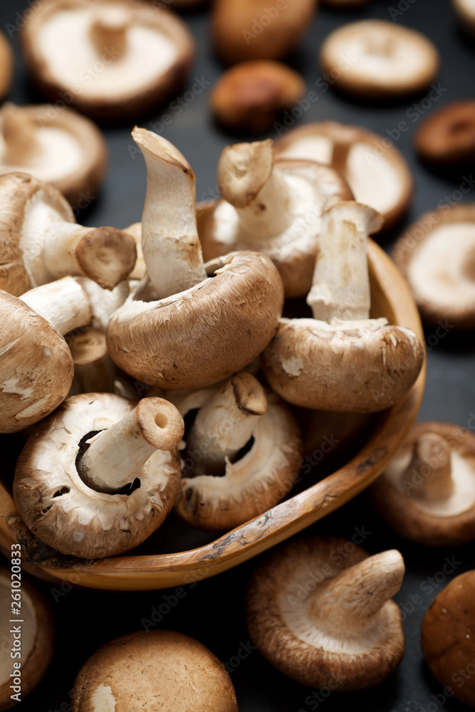Mushrooms close up Mushrooms close up