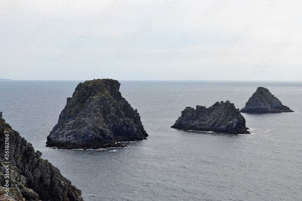 Rochers de la Pointe du Pen-Hir sur la péninsule de Crozon dans le département du Finistère, Camaret-sur-Mer, Parc naturel régional d'Armorique. Bretagne, France. 