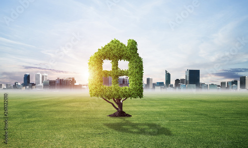 Obraz na płótnie Green plant in shape of house grows at green field w salonie