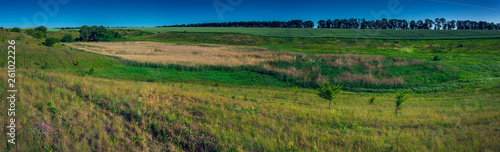 Fields landscape in summer sunset and sunrise