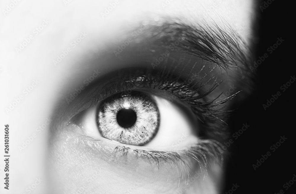 Fototapeta premium A beautiful insightful look eye. Close up shot