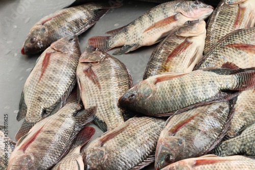 Fresh fish for cooking at street food