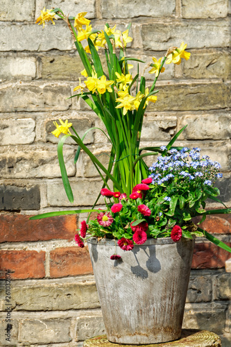 Container planted with spring flowers in front of a brick wall