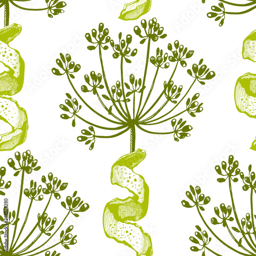 Vector background with hand drawn herbs and spices. Hand drawn ink illustration. Organic and fresh spices illustration