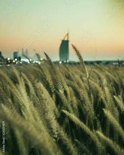 Dusk in Dubai