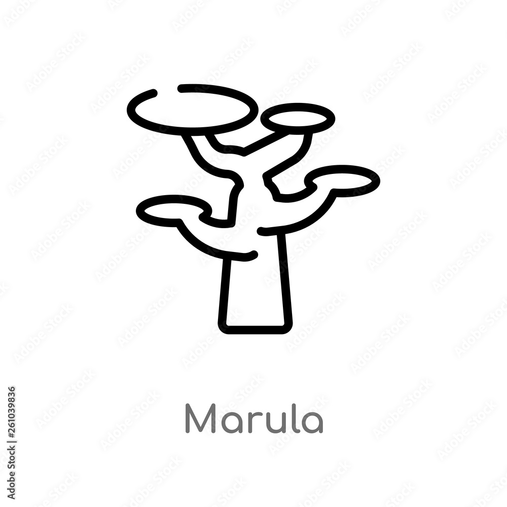 outline marula vector icon. isolated black simple line element illustration from africa concept. editable vector stroke marula icon on white background outline marula vector icon. isolated black simple line element illustration from africa concept. editable vector stroke marula icon on white background