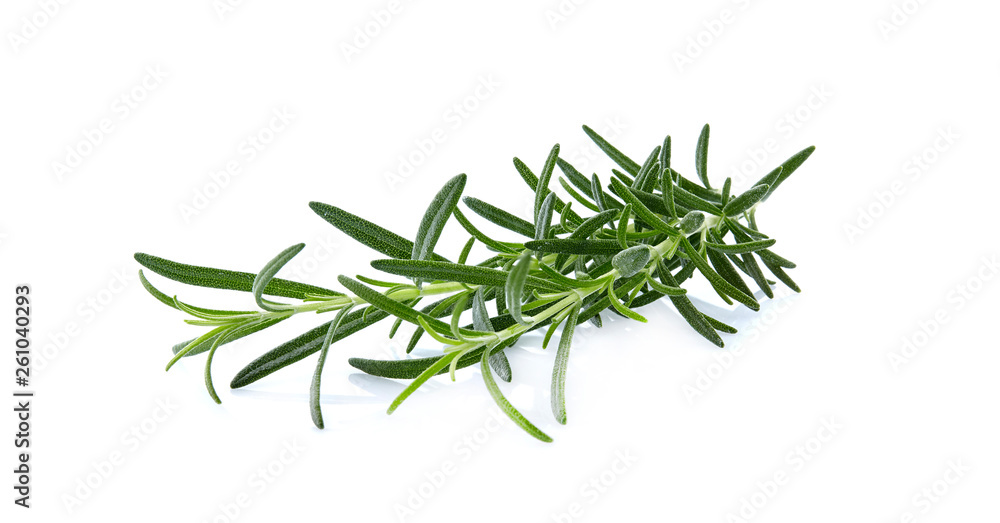 fresh rosemary isolated on white background - Изображение fresh rosemary isolated on white background - Изображение