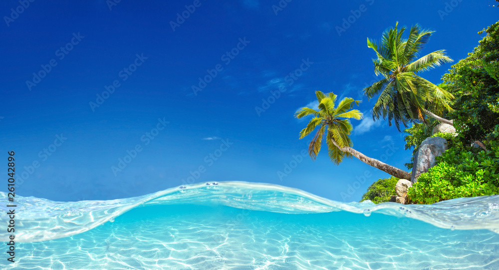  Seychelles Islands. Palm Beach In Tropical Paradise - obrazy, fototapety, plakaty 