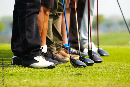 golfer and Golf driver head in a row on green