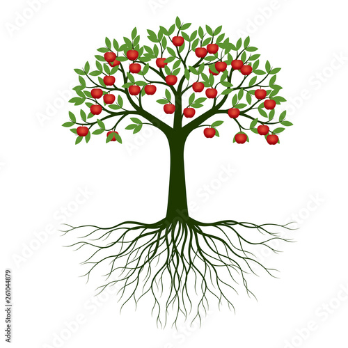 Green Spring Tree with Roots and fruits. Vector Illustration.