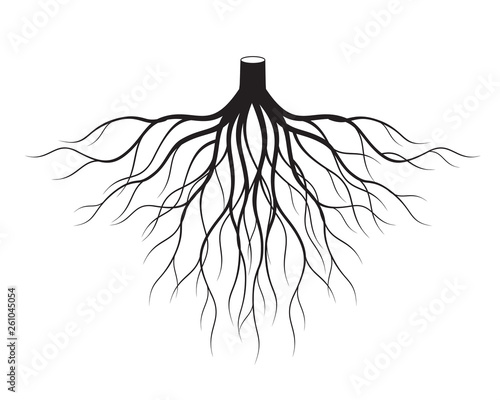 Black Roots Tree. Vector Illustration.