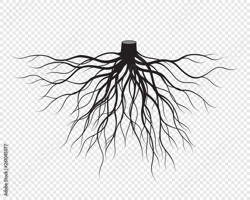 Black Roots Tree. Vector Illustration.