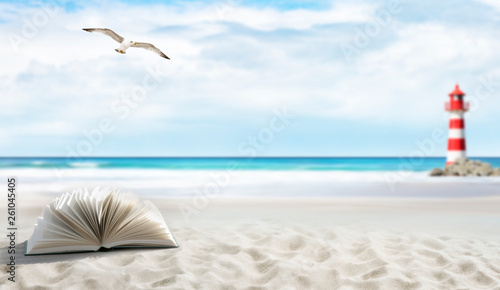 Fototapeta Naklejka Na Ścianę i Meble -  Buch am Strand