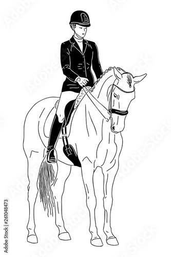 A sketch of a dressage rider on a horse executing the stop.