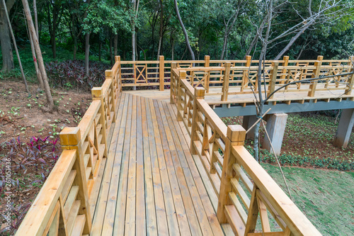 Wooden bridge and park background