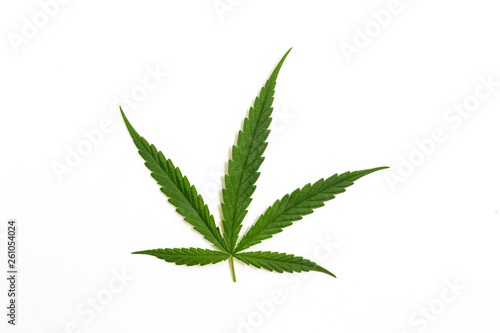 The Cannabis plant  Ganja