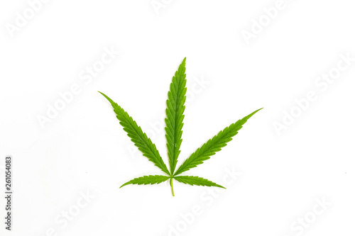 The Cannabis plant, Ganja