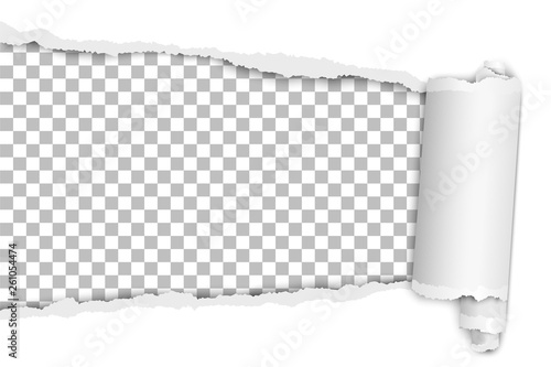Torn elongated hole from left to right in white sheet of paper with paper curl, soft shadow and transparent resulting background. Vector paper template design.