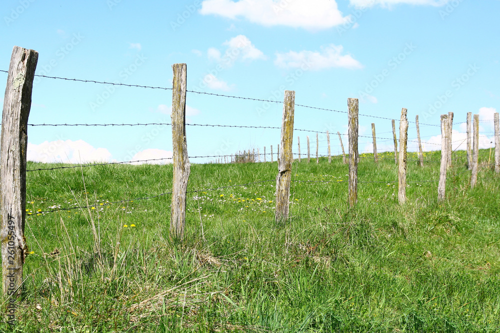 un champ avec clôture