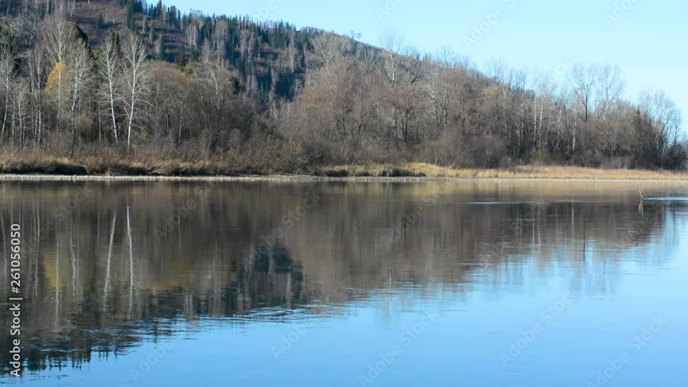 Freshwater river with a current that reflects the sky with clear cold water and a rocky bottom with trees and shrubs growing along the banks in early spring or autumn The river with a slow current on Freshwater river with a current that reflects the sky with clear cold water and a rocky bottom with trees and shrubs growing along the banks in early spring or autumn The river with a slow current on