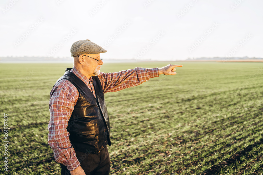 Adult farmer checking plants on his farm.