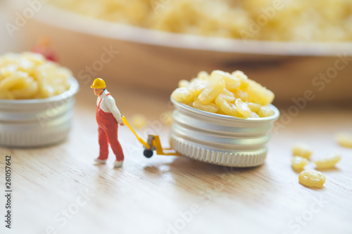 Miniature people workers moving fried mung bean (Thai appetizer) for export. photo