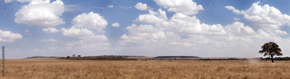 A panoramic view of Masai Mara grassland, Kenya