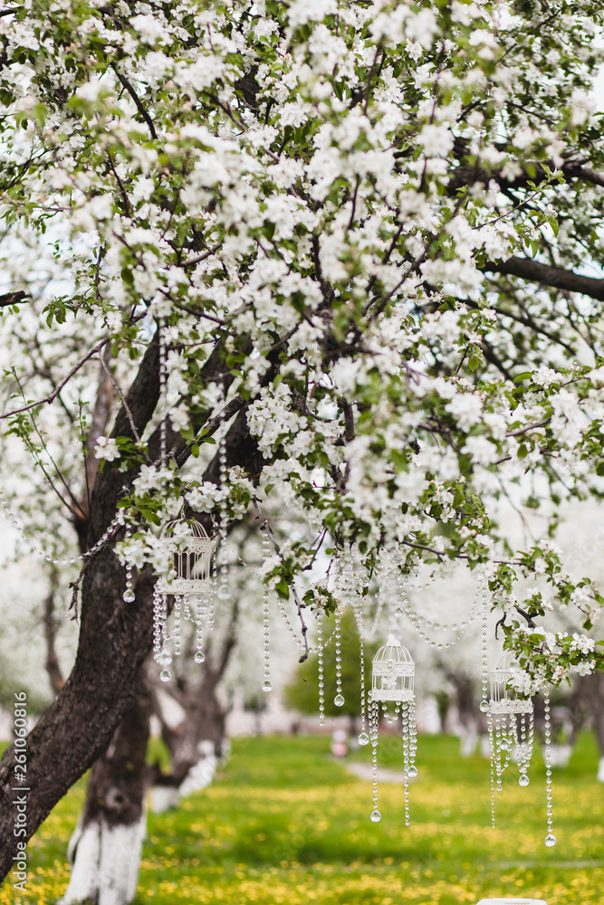 wedding decorations in the blossoming apple garden wedding decorations in the blossoming apple garden