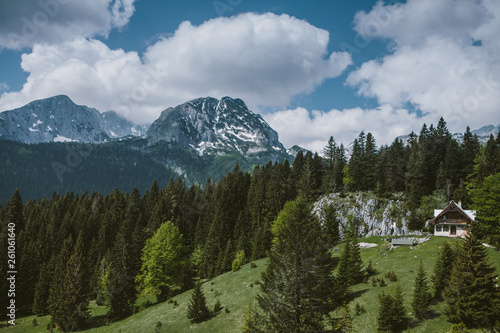 beautiful mountain view with snow