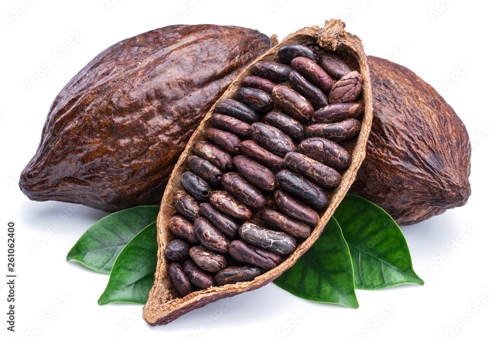 Cocoa pods and cocoa beans - chocolate basis isolated on a white ...