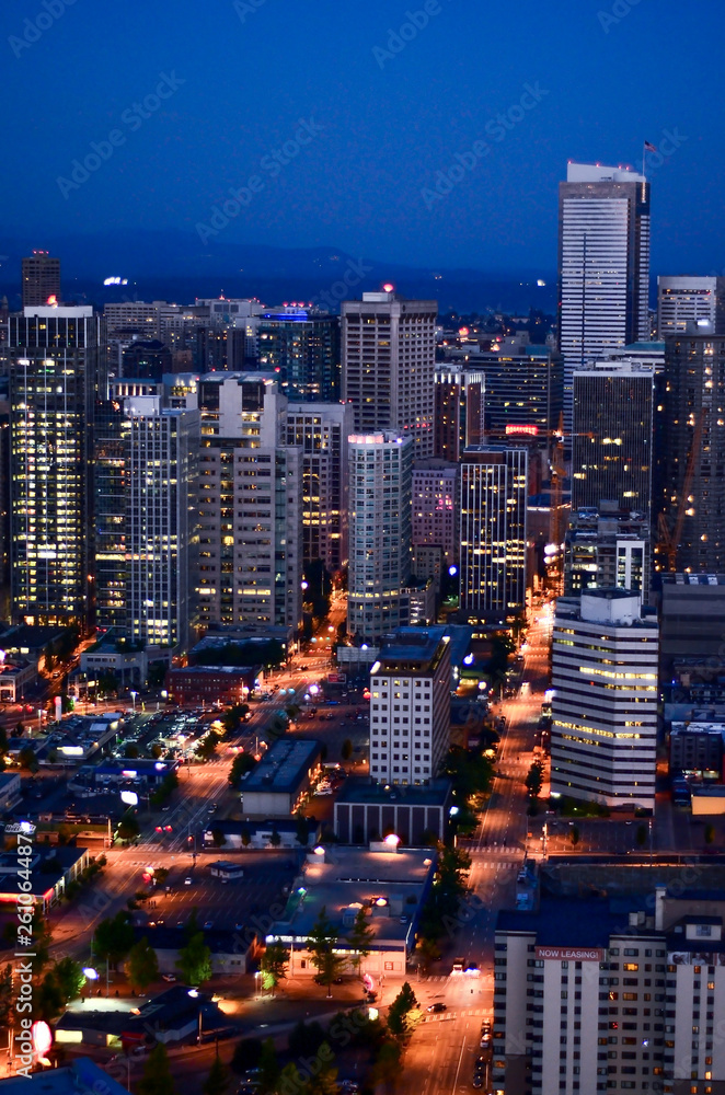 Seattle night tine skyline