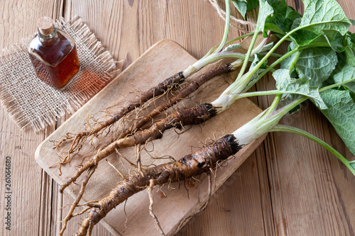 Fototapeta Burdock roots and tincture on a table