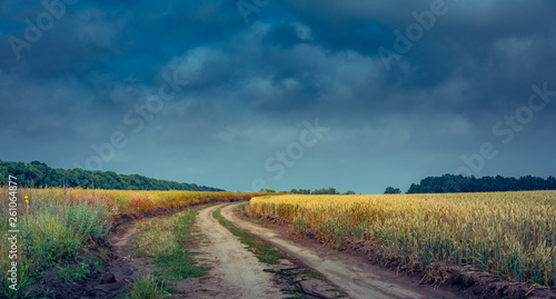 Fields landscape in summer sunset and sunrise