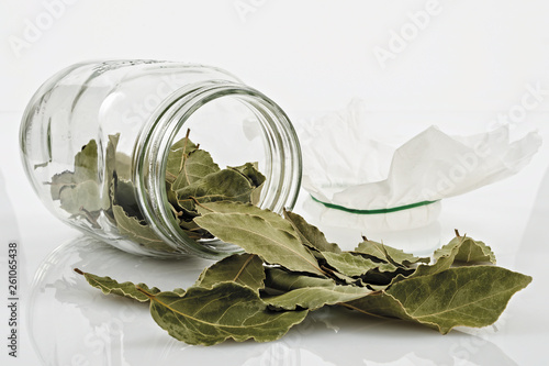 alloro foglie secche in vaso di vetro rovesciato