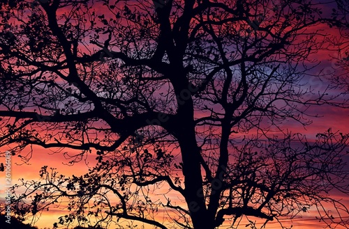 i colori del tramonto