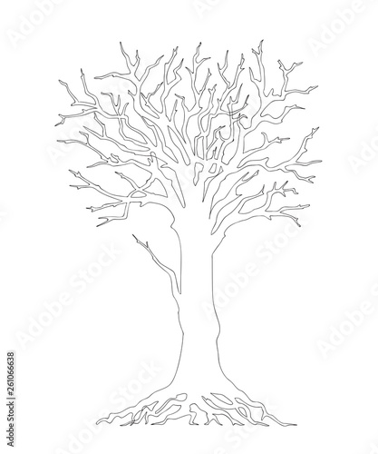 tree without leaves black outline