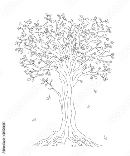 tree with fall down leaves black outline